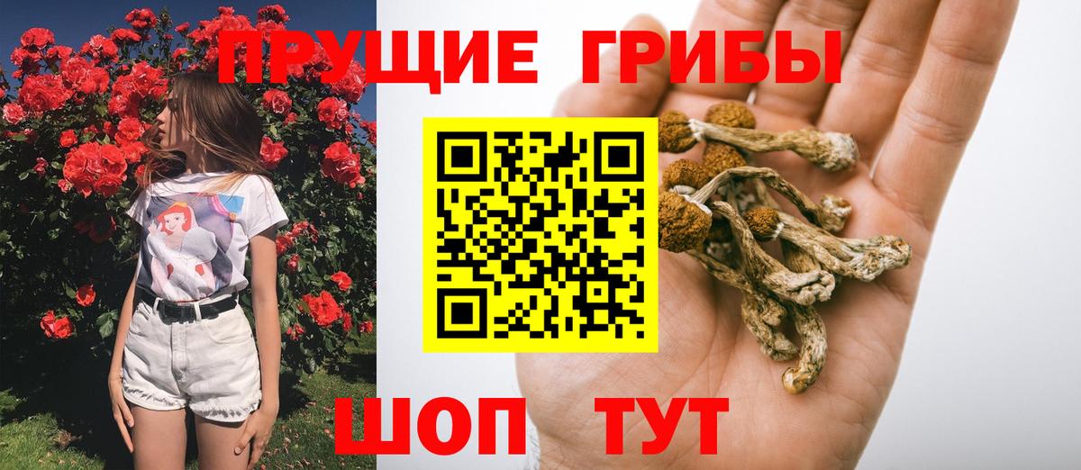 Псилоцибиновые грибы мухоморы  наркота  Вход с VPN  Чита  Псилоцибиновые грибы ЛСД 