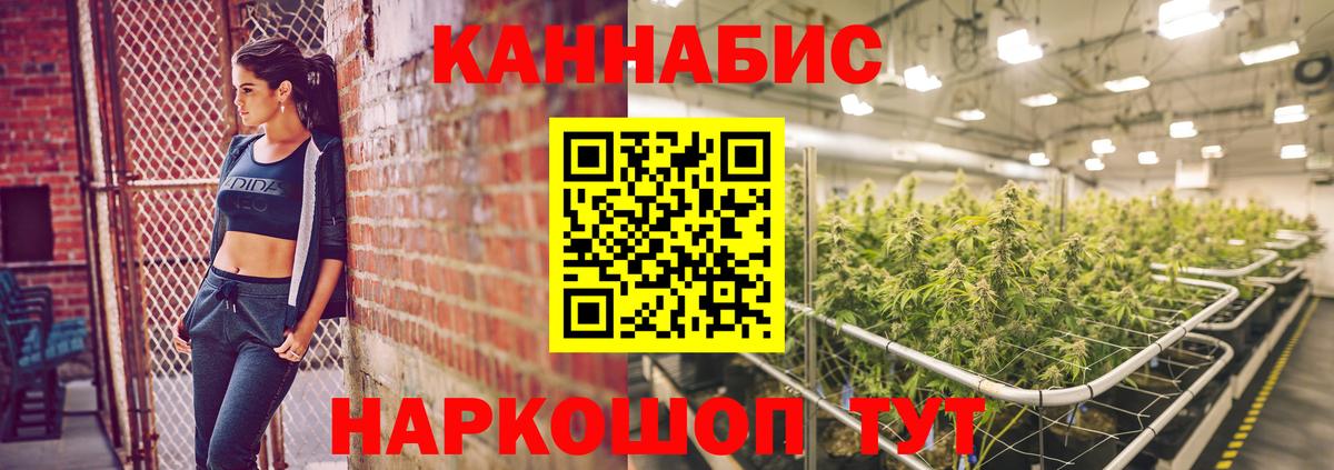 Чита  Каннабис планчик  МАРИХУАНА OG Kush  Вход с VPN  Канабис тримм 